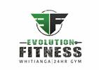 Link to Evolution Fitness website