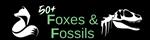Foxes & Fossils  on Thursday, 28 March 2024 at 11:30.AM
